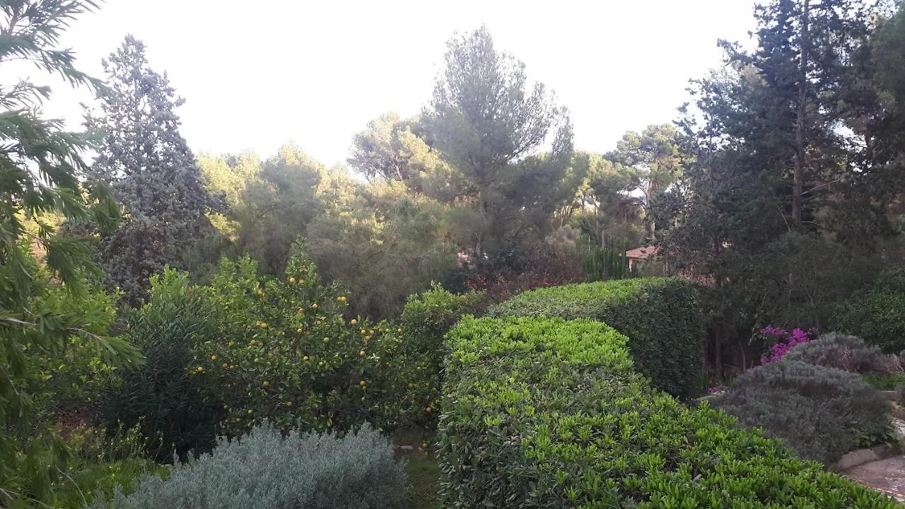Casa De Las Vistas ميورقة إسبانيا