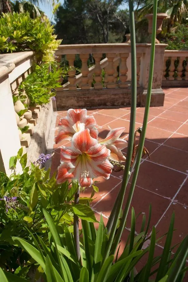 Villa Casa De Las Vistas Palma de Mallorca